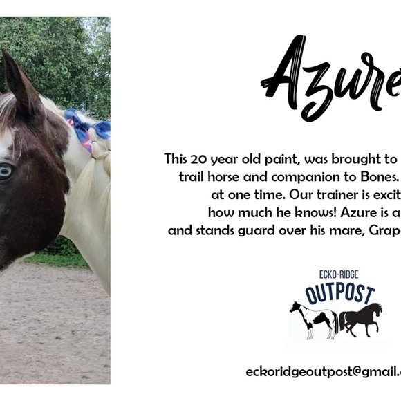 Horse Paintings! 3 sizes - Custom Colors available - Great Gift Idea - Picture 10 of 14